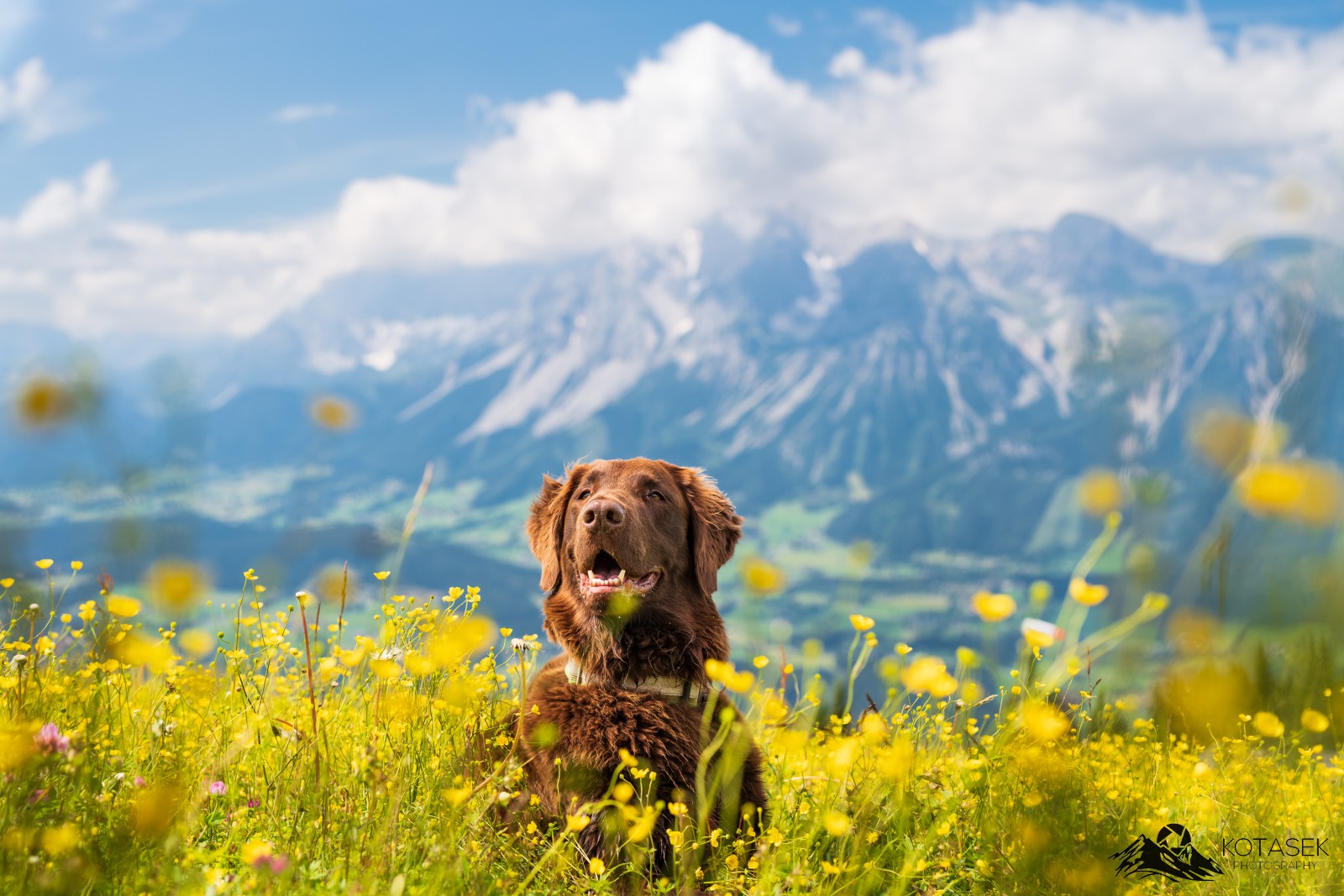 Kira with view on Dachstein mountain.