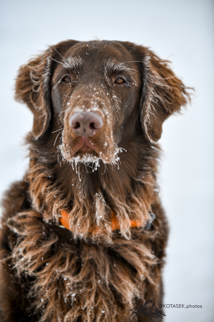 Winter walk