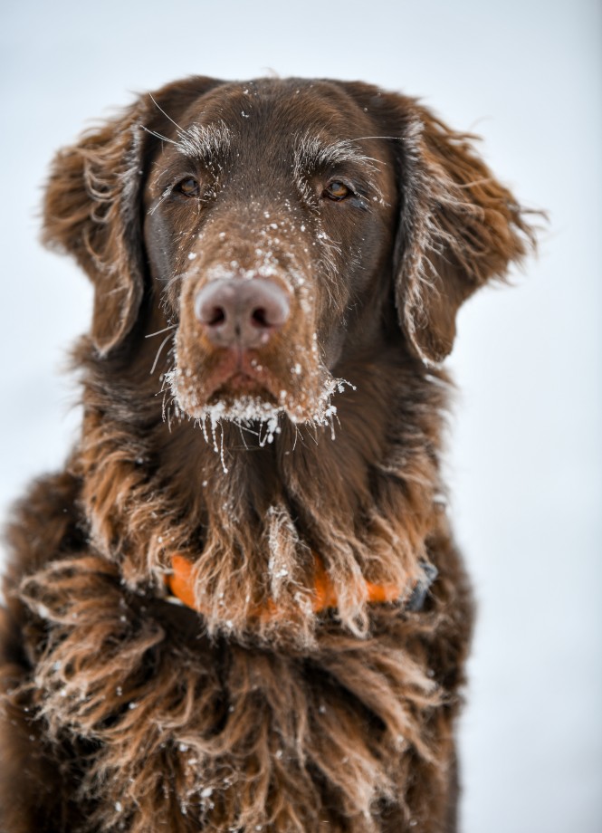 Winter walk