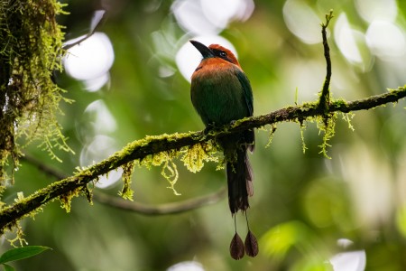 Costa Rica